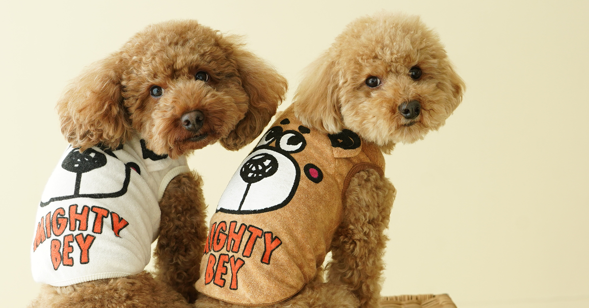 犬用品 – Franc＆Mimi