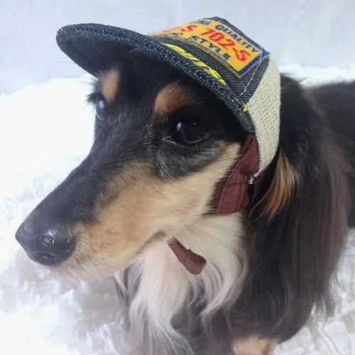 【GARDEN OF EDEN】ガーデンオブエデン DENIM CAP ＜全2色＞ 犬用 帽子 キャップ デニム 脱着簡単 サイズ調整可
