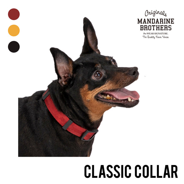 MANDARINE BROTHERS クラシック首輪/Classic Coller