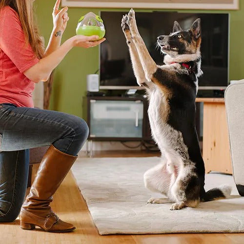 【P.L.A.Y.】ワブルボール [プレイ] 犬用 おもちゃ 知育 おやつを入れる 卵の形 強化プラスチック ストック容器