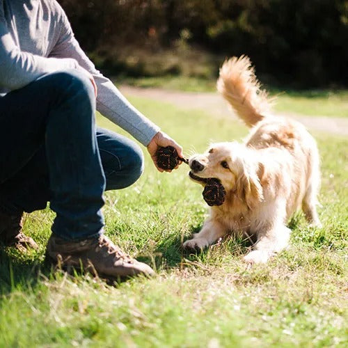 【P.L.A.Y.】アウトドアシリーズ ロープトイ S [プレイ] 犬用 おもちゃ アウトドア スカウト＆アバウト
