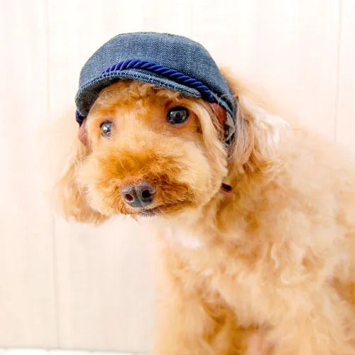 【GARDEN OF EDEN】ガーデンオブエデン マリンCAP（DENIM） ＜全4色＞ 犬用 帽子 キャップ デニム 脱着簡単 サイズ調整可