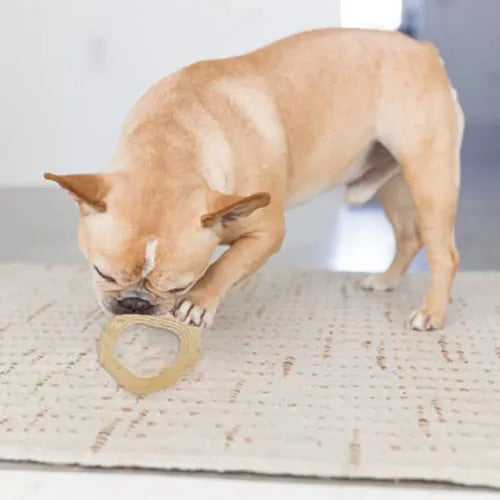 【Petstages】ペットステージ ウッディー・タフ・リング［dad-way（ダッドウェイ）］犬用 おもちゃ 天然木 リング形トイ