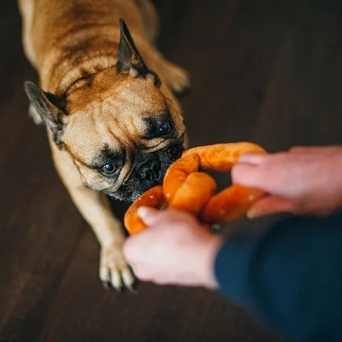 【P.L.A.Y】インターナショナルクラシック プレッツェル  [プレイ] 犬用 おもちゃ ベロア素材 丈夫 引っ張り遊び 洗濯機可