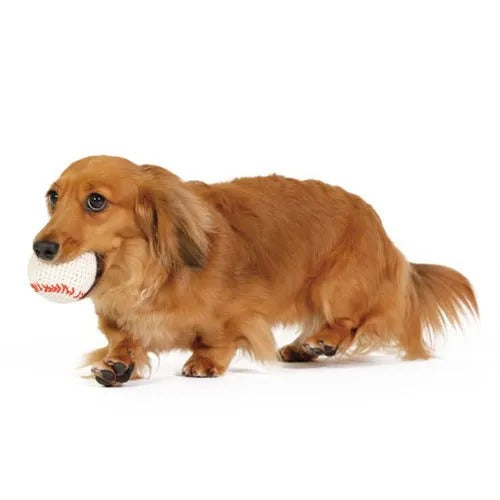 【FAD】ファッド ハンドメイド・ニットトイ ベースボール［dad-way（ダッドウェイ）］ 犬用 おもちゃ 歯石の沈着予防 スクイーカー