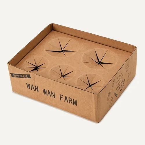 【Solgra】ソルグラ お野菜フレンズ BOX 犬用 おもちゃ 箱 紙タイプ 収納