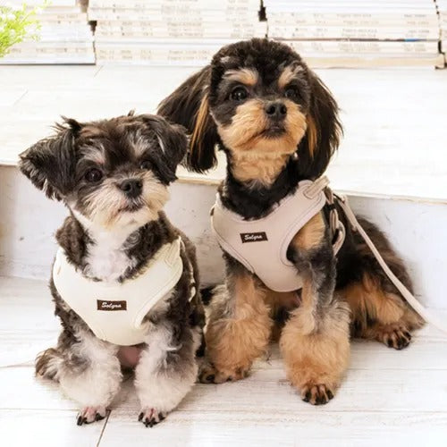 【Solgra】ソルグラ ナチュラルニット ハーネス XS / S / M / L ＜全3色＞ 犬用 胴輪 ニット生地 ナチュラルカラー