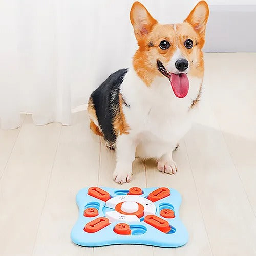 【M-PETS】エムペッツ BRAINY GAMES エムペッツ ブレイニーゲームス コペルニクス 犬用 おもちゃ ノーズワーク 知育トイ