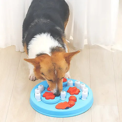 【M-PETS】エムペッツ BRAINY GAMES エムペッツ ブレイニーゲームス アインシュタイン 犬用 おもちゃ ノーズワーク 知育トイ