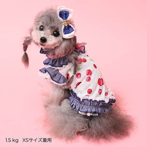 Godpiva COOLプティチェリータンク S サイズ GODPIVA】COOLプティチェリータンク［ゴッドピバ］犬用 ドッグウェア