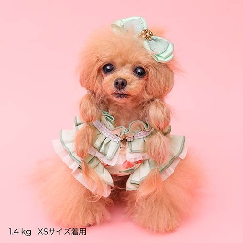 GODPIVA】COOLプティチェリータンク［ゴッドピバ］犬用 ドッグウェア