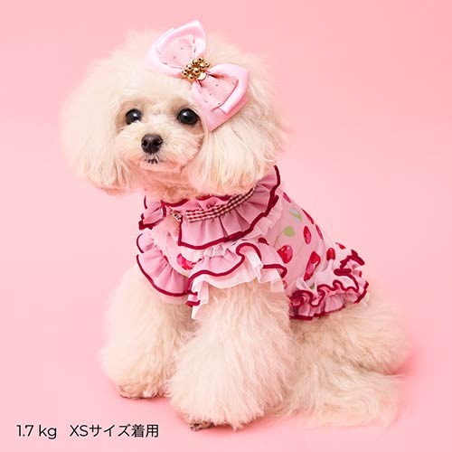 Godpiva COOLプティチェリータンク S サイズ GODPIVA】COOLプティチェリータンク［ゴッドピバ］犬用 ドッグウェア