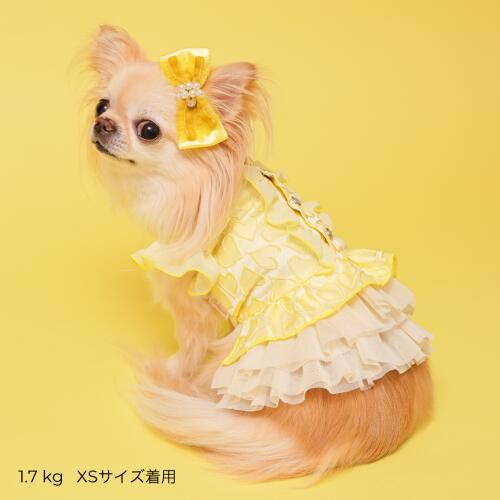 GODPIVA】ハートフリルワンピース［ゴッドピバ］犬用 服 ドッグウェア