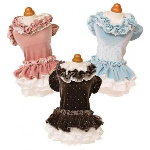 【GODPIVA】ドットプリマワンピース［ゴッドピバ］犬用 服 ドッグウェア ゴールド ドット ベロア シフォンフリル