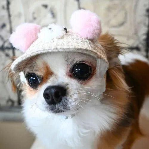 【GARDEN OF EDEN】ガーデンオブエデン もこもこベアCAP＜全2種類＞ 犬用 帽子 キャップ チェック 脱着簡単 サイズ調整可