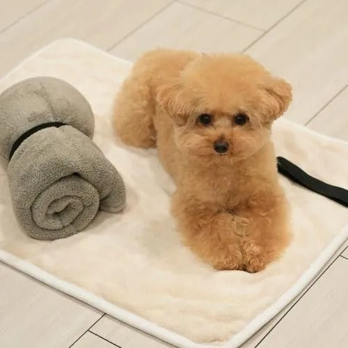 【kuPla kuPla】クプラクプラ ワンちゃんおもいのマット ＜全2色＞ 犬用 マルチマット マイクロファイバー コンパクト 洗濯機可