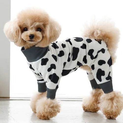 Solgra 犬用ロンパース 2点セット M Lサイズ Solgra】ソルグラ 牛柄アクロン 犬用 服 ロンパース 伸縮性 撥水加工