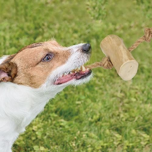 【ROOP】ループカフェウッド タグ 犬用 おもちゃ デンタルケア ストレス解消 無香料 無着色 天然木材 コーヒーノキ