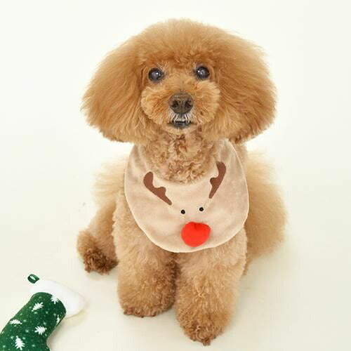 【Solgra】ソルグラ トナカイスタイ 犬用 クリスマス コスチューム かわいい マジックテープ 汚れ防止
