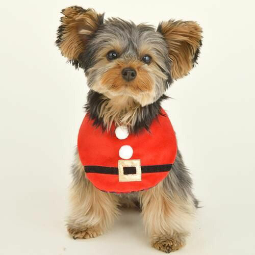【Solgra】ソルグラ サンタスタイ 犬用 クリスマス コスチューム サンタ服モチーフ マジックテープ 汚れ防止