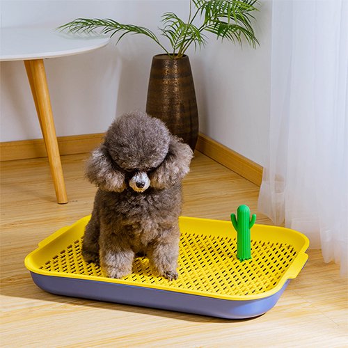 【Petifam】ペティファーム オアシスドッグトイレ ＜全2色・2サイズ＞ 犬用トイレトレー マーキングポール付き メッシュ 超小型犬 小型犬