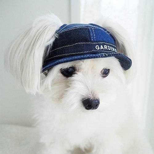 【GARDEN OF EDEN】ガーデンオブエデン パッチワークDenimハット ＜全2色＞ 犬用 帽子 バスケットハット コットンデニム生地 脱着簡単 サイズ調整可
