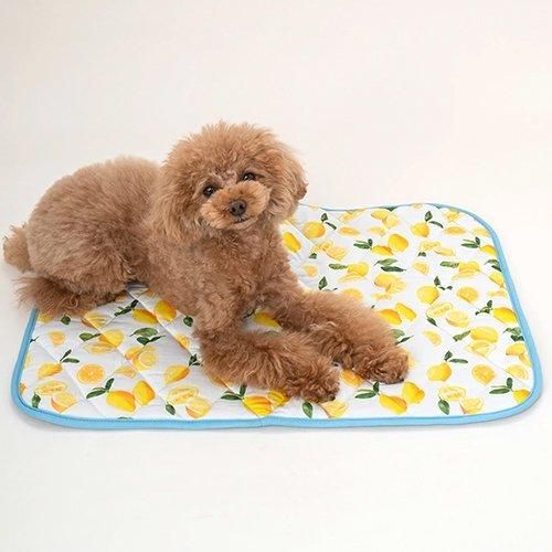 【Solgra】ソルグラ レモンクールマット 犬用 マット かわいい 暑さ対策 ひんやり 冷感 クール 涼しい