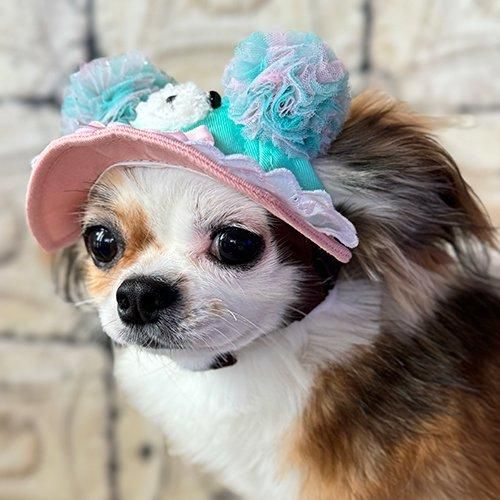【GARDEN OF EDEN】ガーデンオブエデン ゆめかわBearHAT ＜全2色＞ 犬用 帽子 キャップ グリッターチュール  フリル リボン 脱着簡単 サイズ調整可