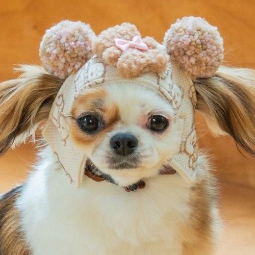 【GARDEN OF EDEN】ガーデンオブエデン くまくまパイロット帽 ＜全2色＞ 犬用 帽子 キャップ ワッペン ポンポン 脱着簡単 サイズ調整可