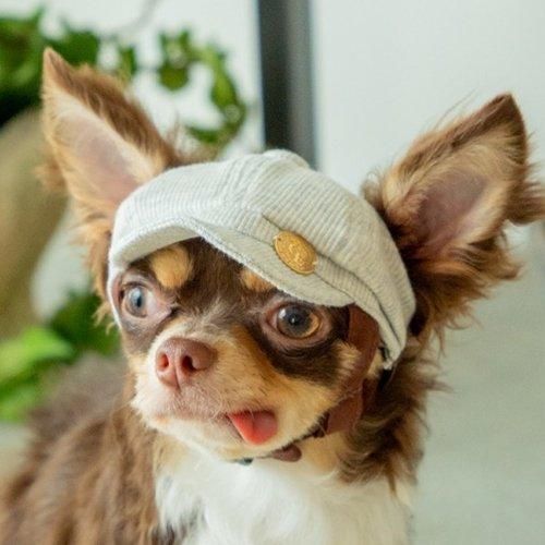 【GARDEN OF EDEN】ガーデンオブエデン オーガニックコットンキャスケット ＜全3色＞ 犬用 帽子 キャップ オーガニックコットン 脱着簡単 サイズ調整可