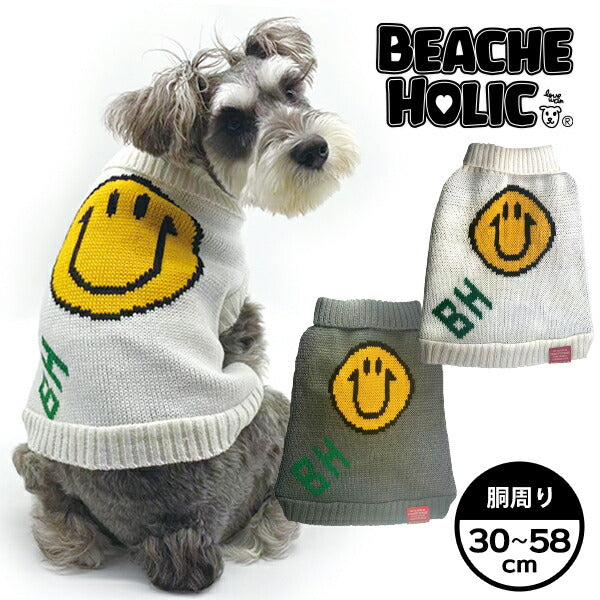 ꫛꫀꪝ【ミニチュアシュナウザー】ベビーヘアクリップ　キッズヘアクリップ　ヘアピン ꫛꫀꪝ【ミニチュアシュナウザー】ベビーヘアクリップ キッズ