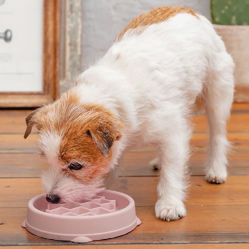 犬 猫 ペット用 食器 皿 滑り止め 早食い防止 ウエーブ状 突起 Outward Hound アウトワードハウンド ファン&スロウフィーダーボウル/XS/ピンク dad-way ダッドウェイ