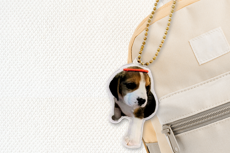 くり レトロポップ わんちゃん ベージュ くり レトロポップ わんちゃん くり レトロポップ わんちゃん ベージュ くり レトロポップ わんちゃん