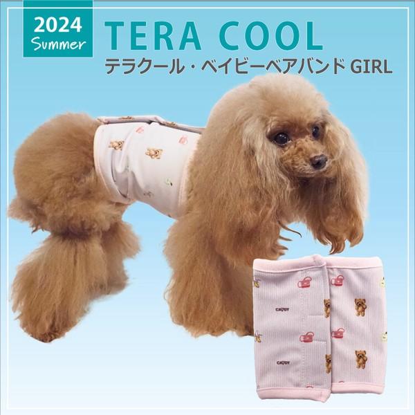 犬 腹巻き 女の子用 2024 夏物 新作 かわいい クール 涼しい テラヘルツ生地 クール×クール加工生地 洗濯OK 日本製  小型犬 中型犬 ベルクロテラバンド テラクール・ベイビーベアバンドバンドGIRL