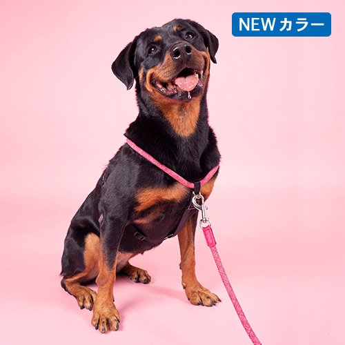 犬 ペット 胴輪 ハーネス 散歩 スポーティー カジュアル 長さ調整可能 H5D Rope Walker Harness ロープウォーカーハーネス 全4色・6サイズ エイチファイブディ