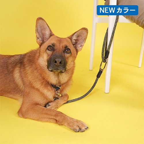 犬 ペット リード 散歩 ロングリード クロスボディ仕様 クリックシステム 長さ調整可能 H5D Parking Leash パーキングリード 全4色・2サイズ エイチファイブディ