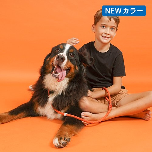 犬 ペット リード カラー スリップリード 首輪 トレーニング 散歩 スポーティー 4way H5D Collar and Slip Leash カラーアンドスリップリード 全4色・2サイズ エイチファイブディ